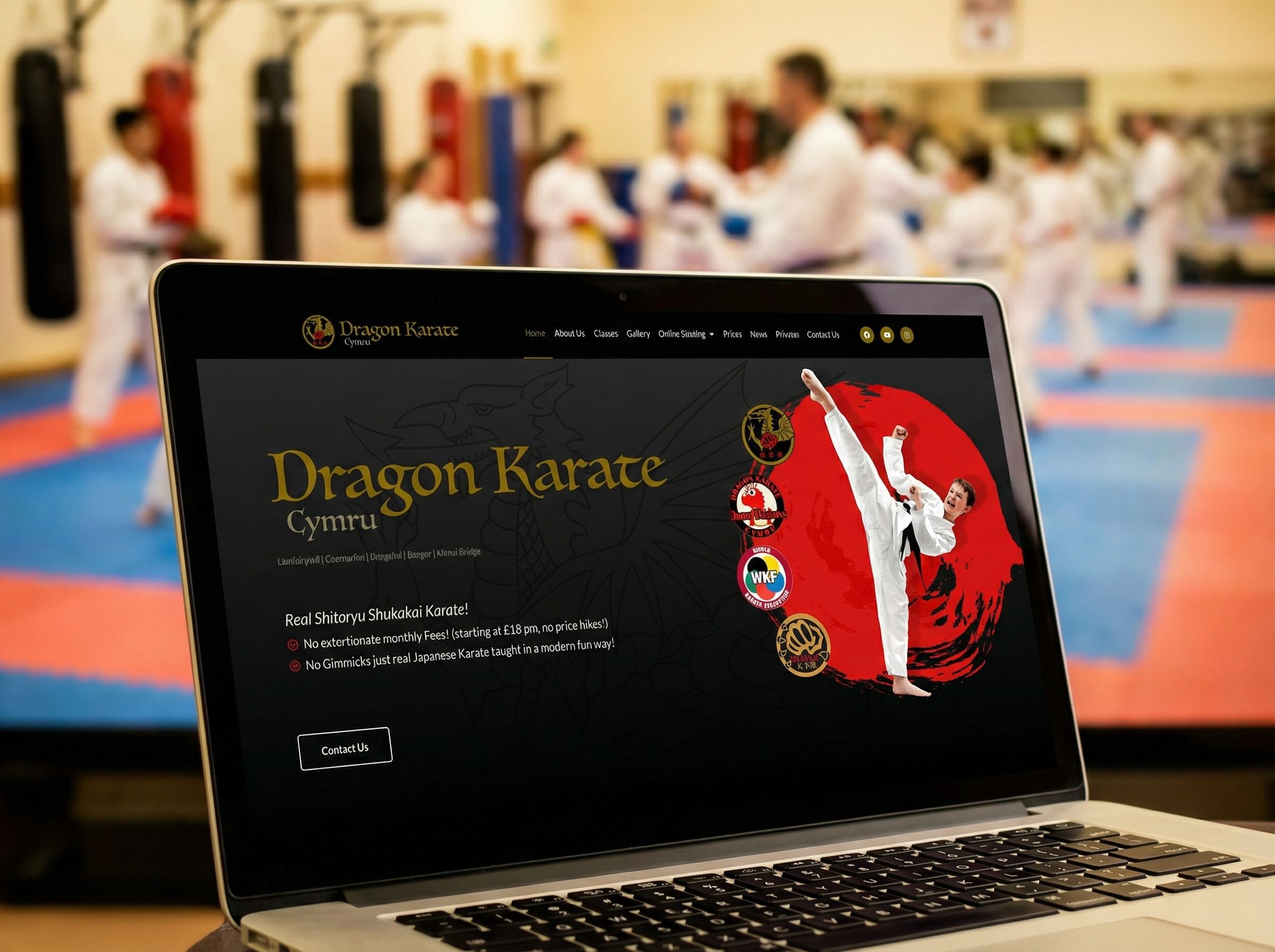 Dragon Karate Cymru website design