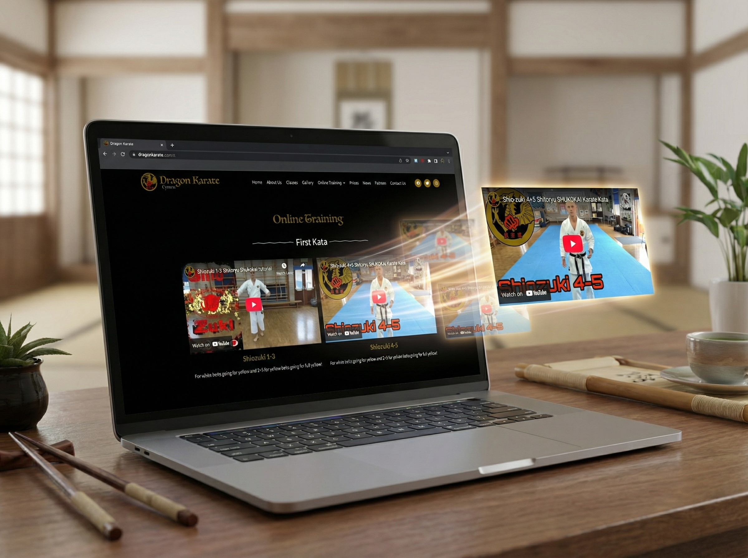 Dragon Karate Cymru website detail